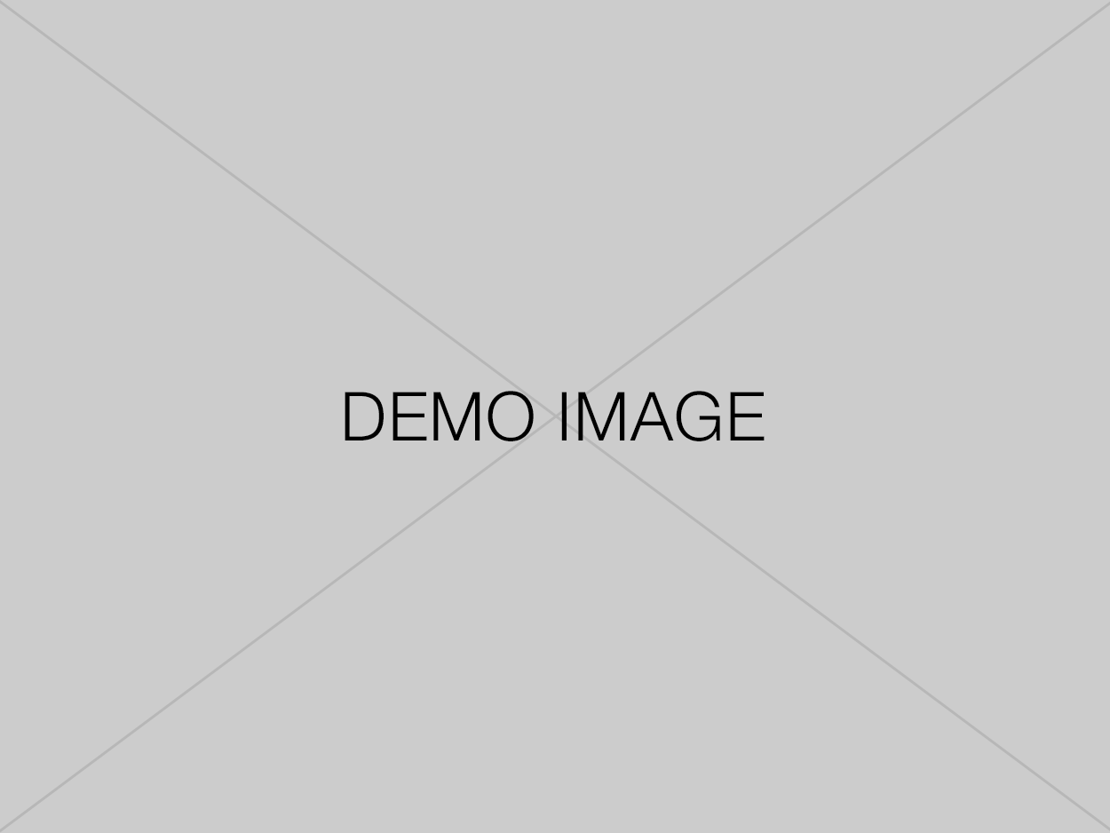 demo-image 4