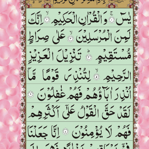 yaseen 2